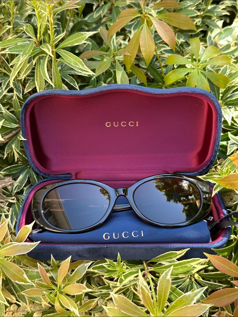 BRAND NEW ✨ Gucci G-string Brown tortoise Oval Women's Sunglasses with Navy Case